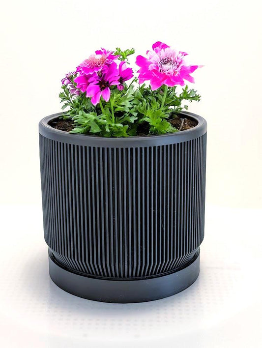 Mid Century Modern Ribbed Planter with Drip Tray - 11cm Diameter